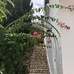 Luz Del Monte