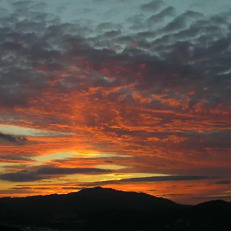 Luz Del Monte